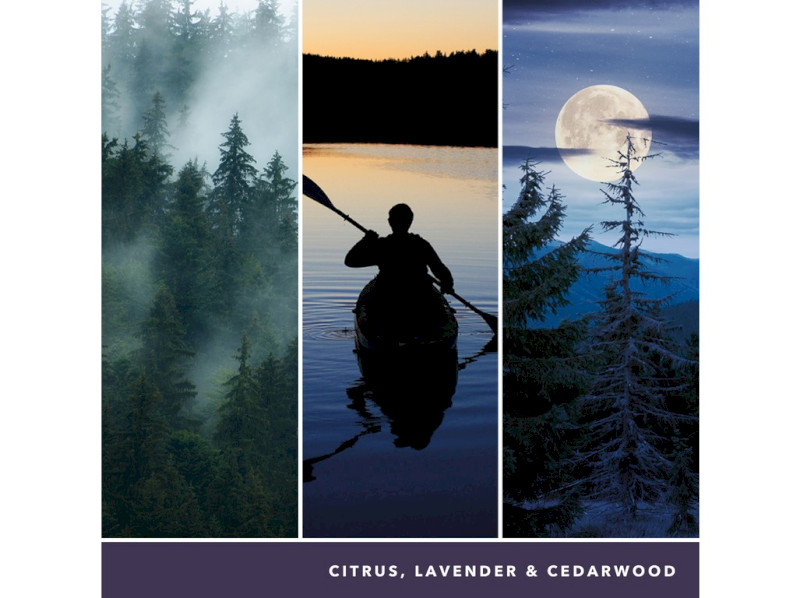 40751_MIDSUMMER'S NIGHT - KOPIE (2)